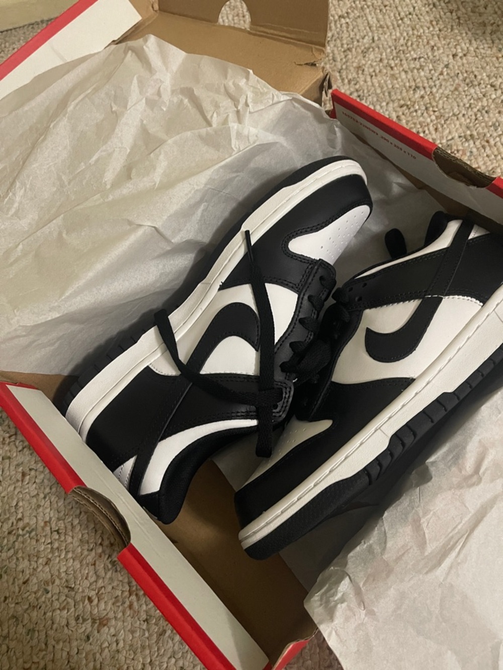 Nike Black and White Low-Top Dunks